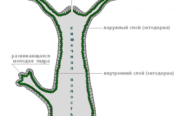 Кракен наркомаркетплейс