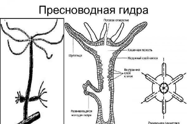 Ссылка кракен cc