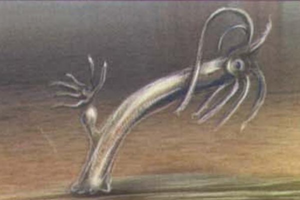 Кракен ссылка